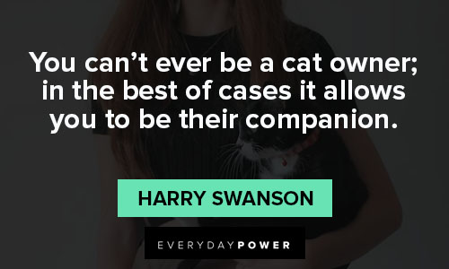 cat quotes about companion