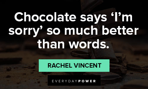 chocolate quotes about chocolate says I'm sorry, so much better than words
