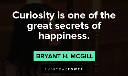 curiosity quotes about secrets of happiness