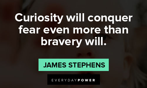 curiosity quotes from James Stephens