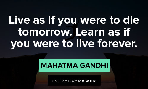 evolution quotes about learn as if your were to live forever