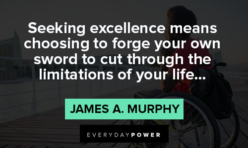 excellence quotes to seeking excellence