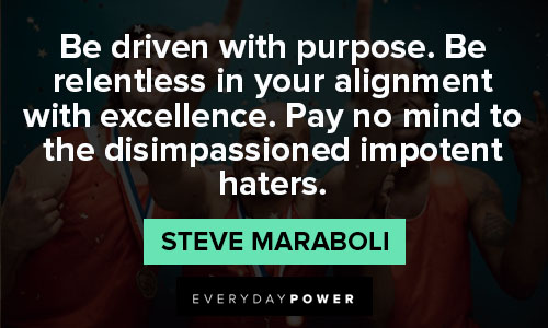 excellence quotes about pay no mind to the disimpassioned impotent haters