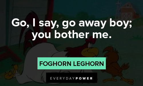 Foghorn Leghorn quotes about go, i say, go away boy