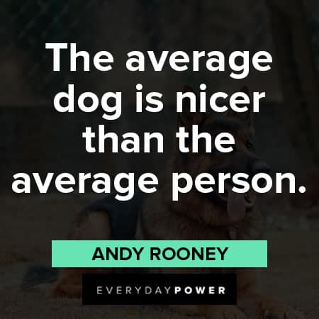 German Shepherd quotes on the average dog