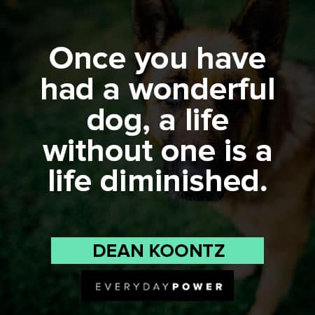 German Shepherd quotes about wonderful dog
