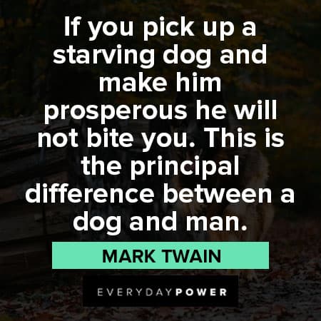 German Shepherd quotes about starving dog