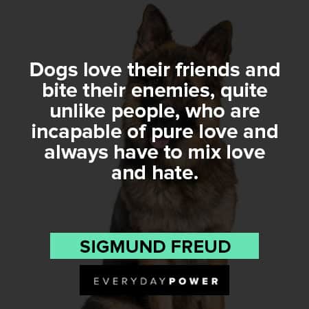 German Shepherd quotes about dogs love their friends