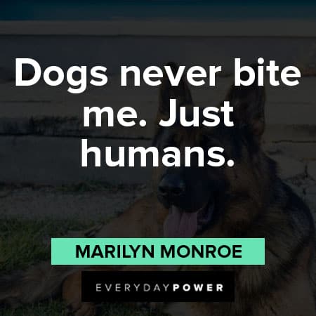 German Shepherd quotes about dogs never bite me. just humans