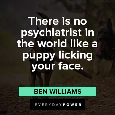 German Shepherd quotes about psychiatrist