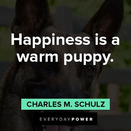 German Shepherd quotes about happiness is a warm puppy