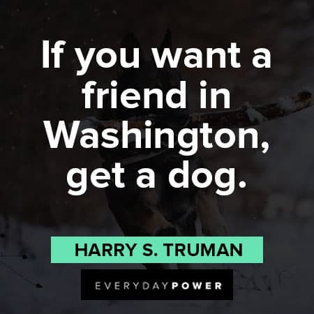 German Shepherd quotes about if you want a friend in washington, get a dog