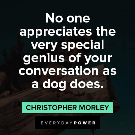 German Shepherd quotes about special genious of your conversation as a dog does