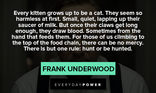 House of Cards quotes about every kitten grows up to be a cat
