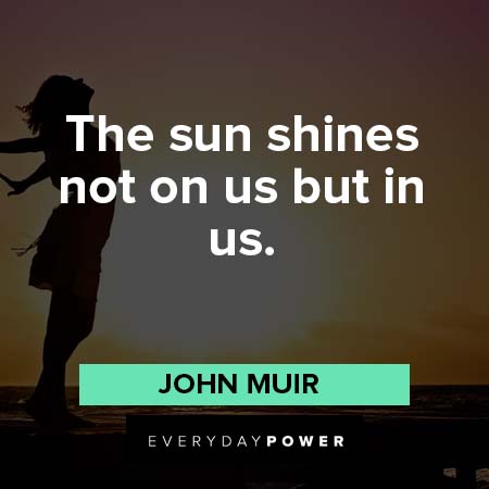 Inner Strength Quotes about the sun shines not on us but in us