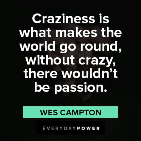 insanity quotes about being craziness
