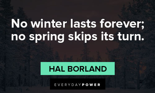 January quotes about no winter lasts forever; no spring skips its turn