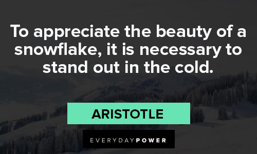 January quotes to appreciate the beauty of a snowflake