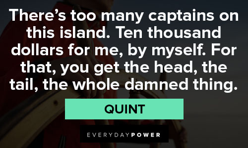 Jaws quotes about there's too many captains on this island