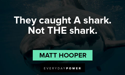 Jaws quotes about they caught a shark not the shark