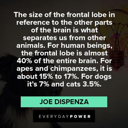 Joe Dispenza quotes about he size of the frontal lobe in reference to the other parts of the brain