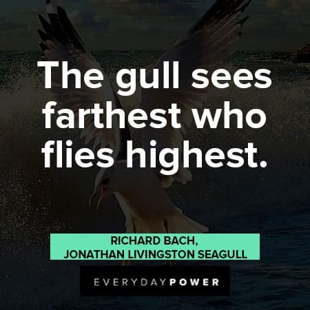 Jonathan Livingston Seagull quotes about flying