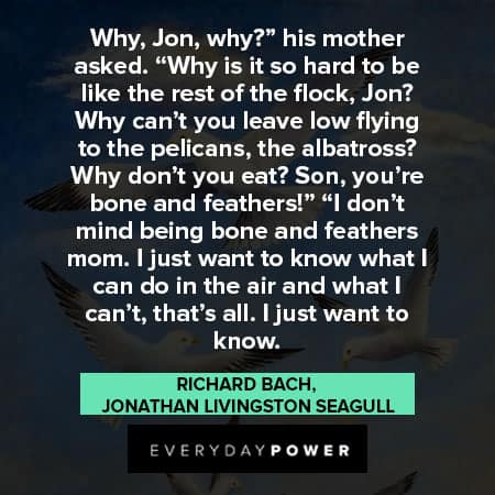 Jonathan Livingston Seagull quotes from Richard Bach