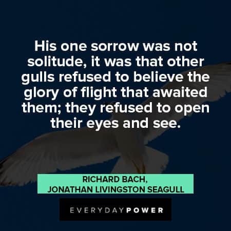 Jonathan Livingston Seagull quotes to believe the glory