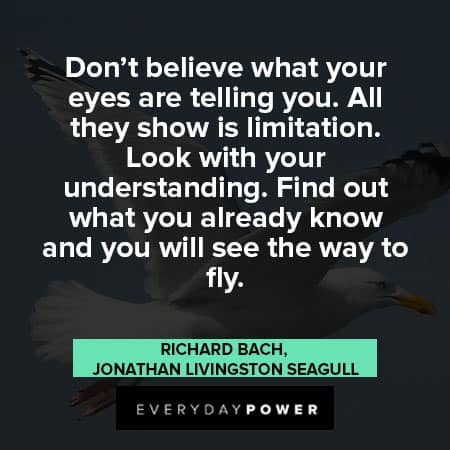 Jonathan Livingston Seagull quotes about find out what you already know and you will see the way to fly