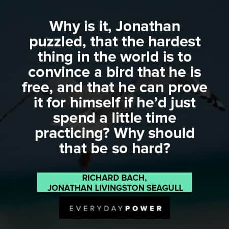 Jonathan Livingston Seagull quotes about little time practicing