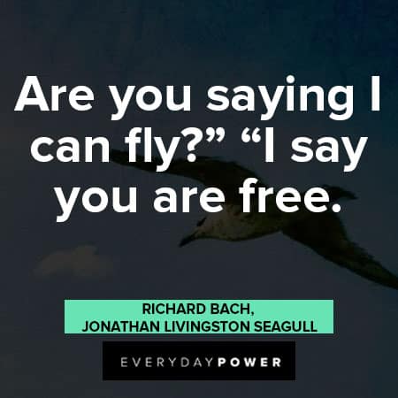 Jonathan Livingston Seagull quotes about are you saying I can fly? I say you are free
