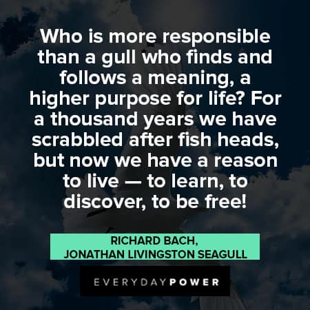 Jonathan Livingston Seagull quotes abour responsibility