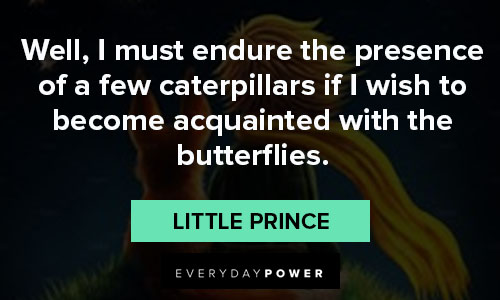 little prince quotes about caterpillars