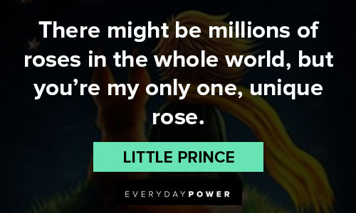 little prince quotes about unique rose