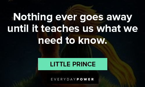 little prince quotes about what we need to know