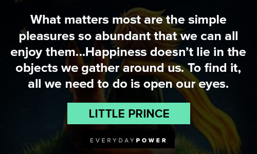 little prince quotes about happiness