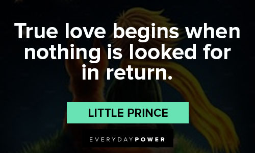 true love little prince quotes