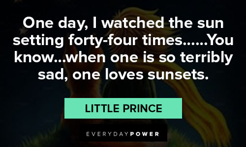 little prince quotes about loving sunsets