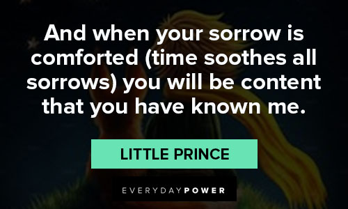 little prince quotes about amazing love