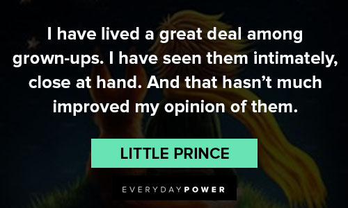 little prince quotes about improving my opinion
