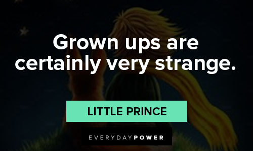 little prince quotes on grown ups are certainly very strange