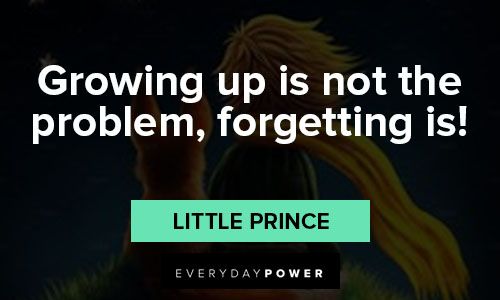 little prince quotes about growing up is not the problem