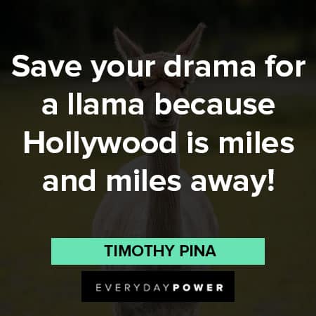 llama quotes about saving your drama