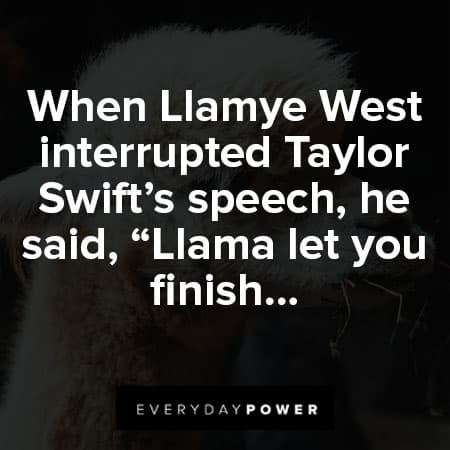 llama quotes about Taylor swift's speech