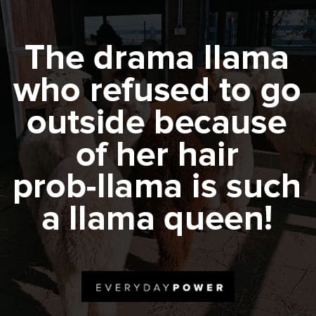 llama quotes about llama queen