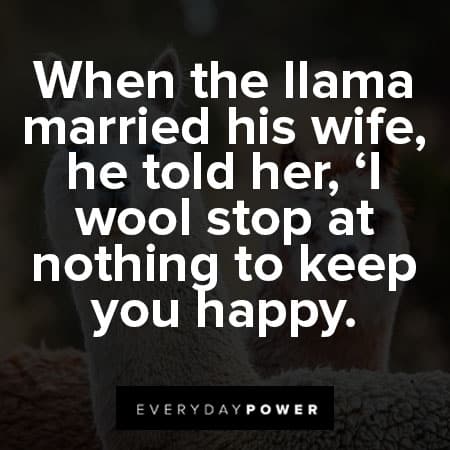 llama quotes when the llama married his wife