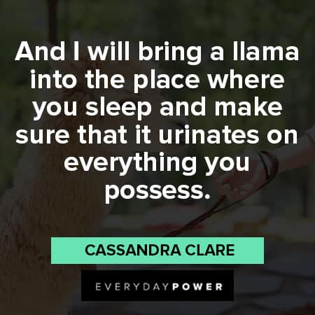 llama quotes on everything you possess