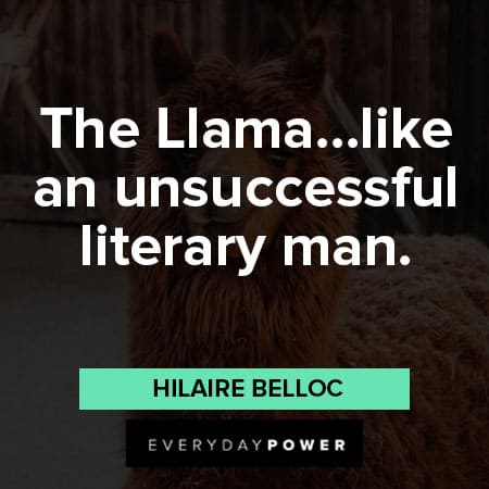 llama quotes about unsuccessful literary man