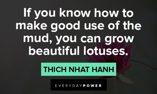Inspiring lotus flower quotes