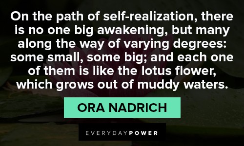 lotus flower quotes about self realization